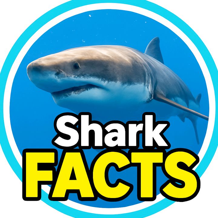 SharkFacts_DE