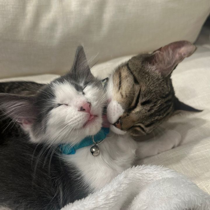 Elliot & Oliver🧸