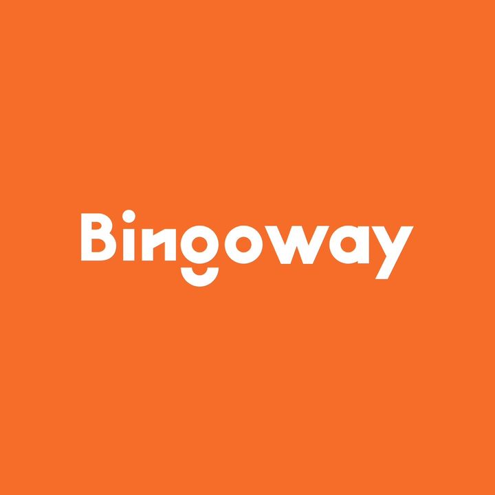 Bingoway Electric Tools