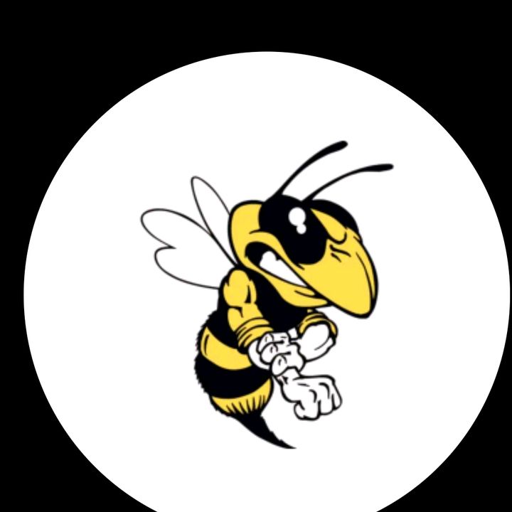 la abeja🐝de michoacan🫡🐝
