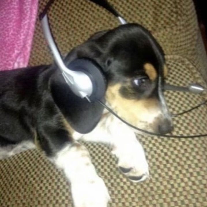 Mouse music3