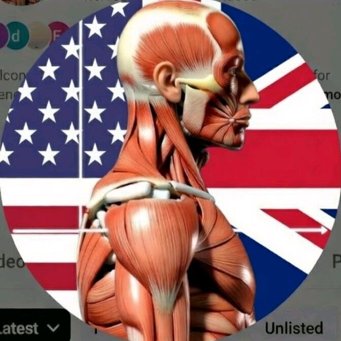 Huze Muscle