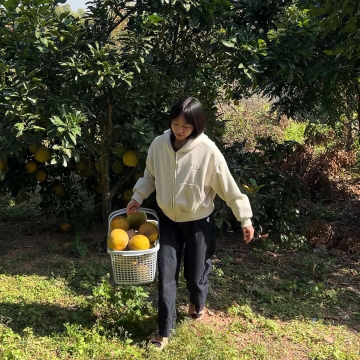 Tạp Hóa Ngoan