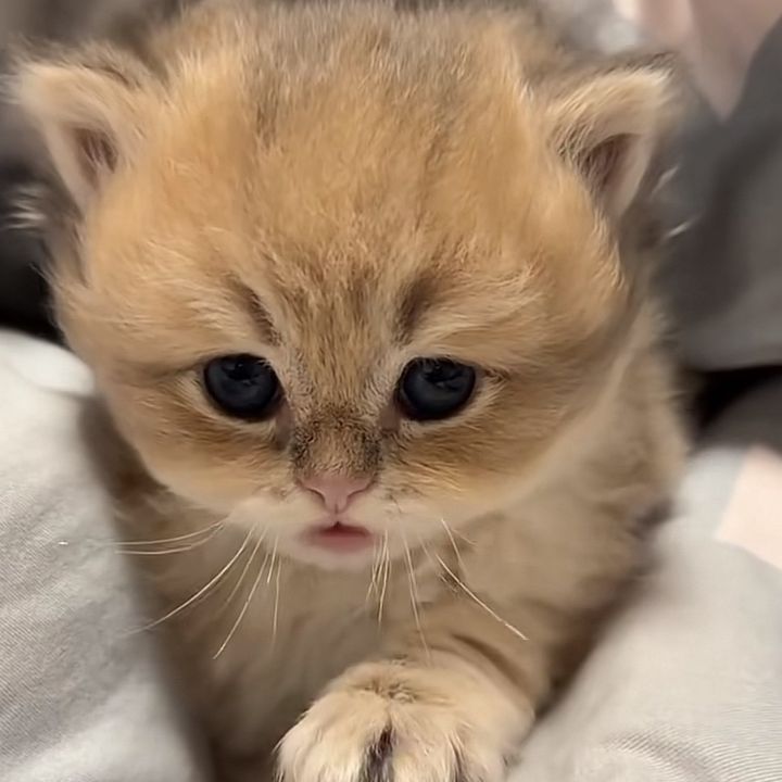 jgtftyggt