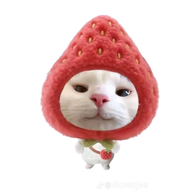 안녕하세요, 저입니다.