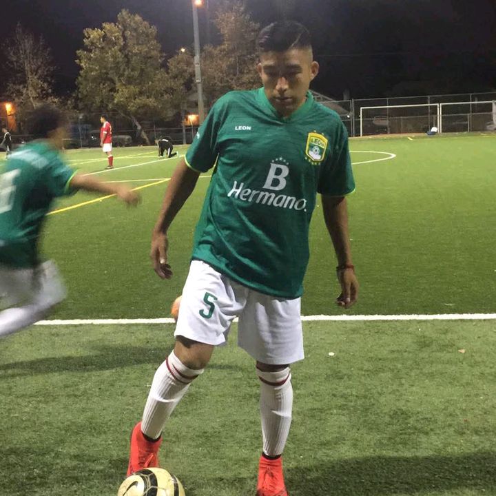 Mejia502