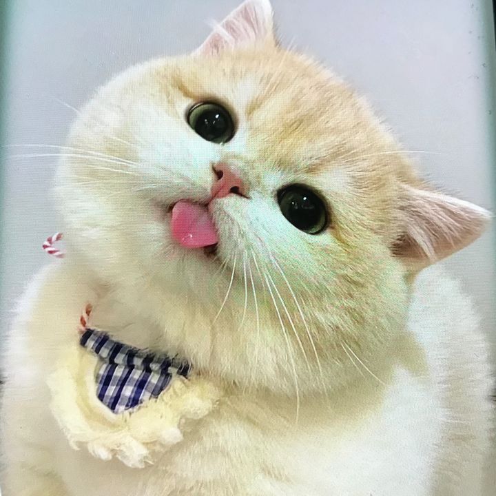 Jose