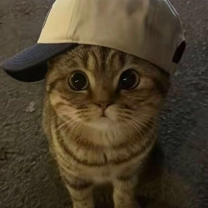 jnkjql0