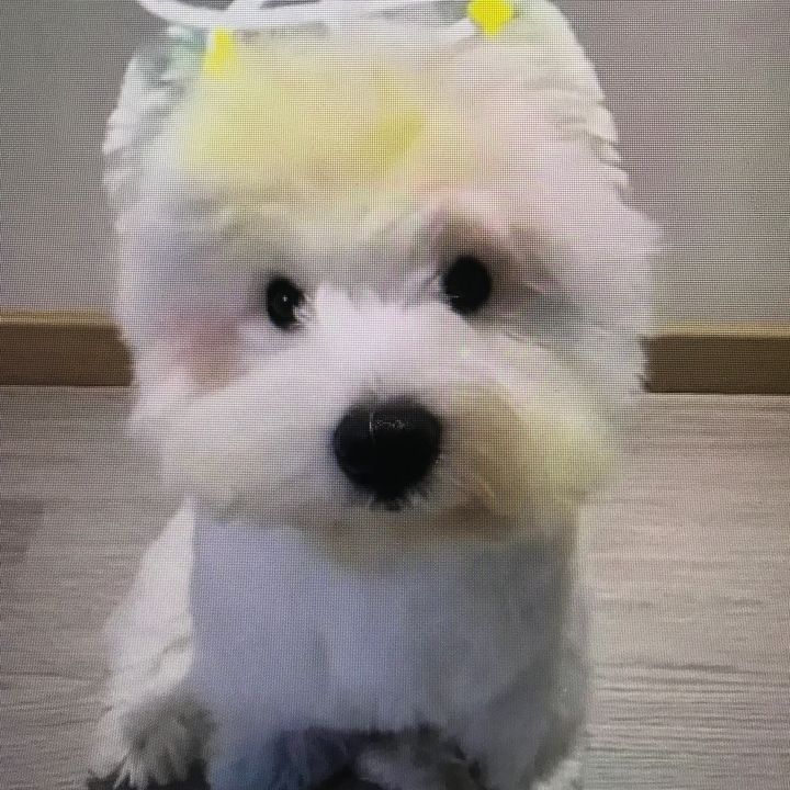 ywypgyxosyo