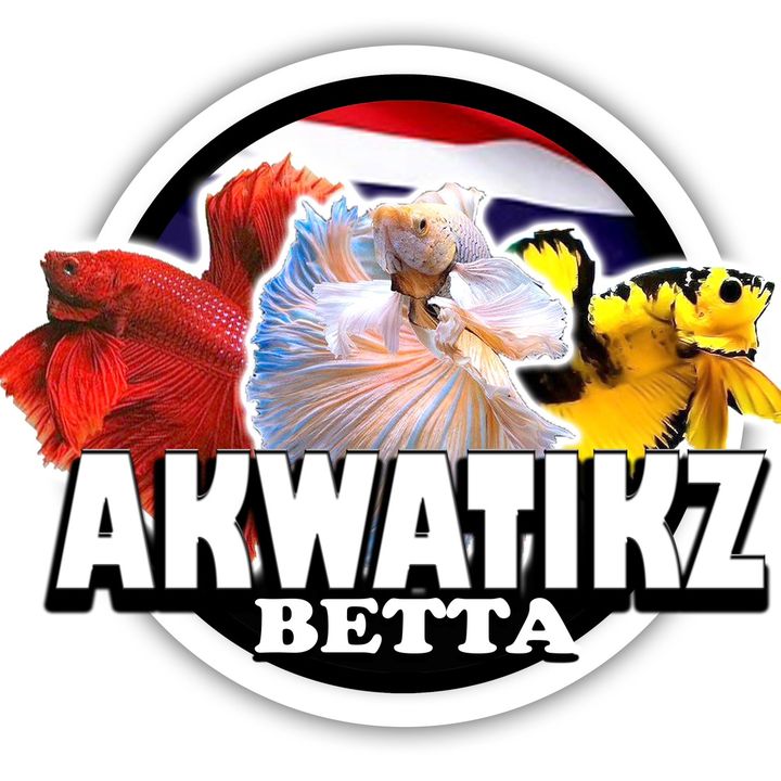 Akwatikz