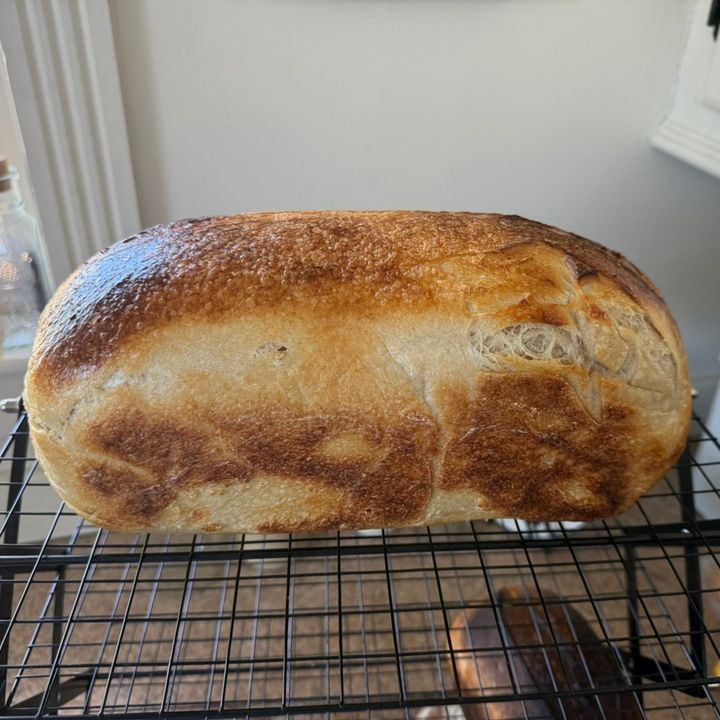 Jenn 🌟The 152 Bread Shed