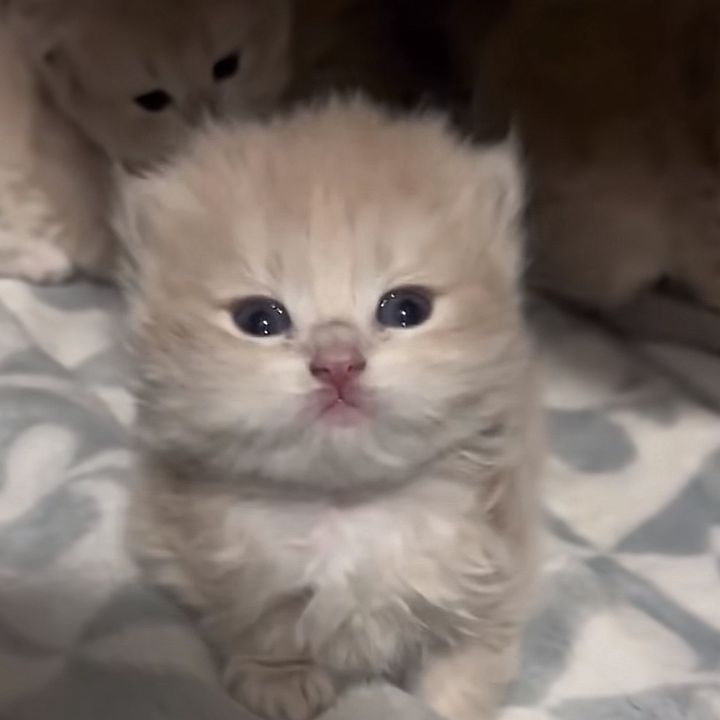 hhyghtgh