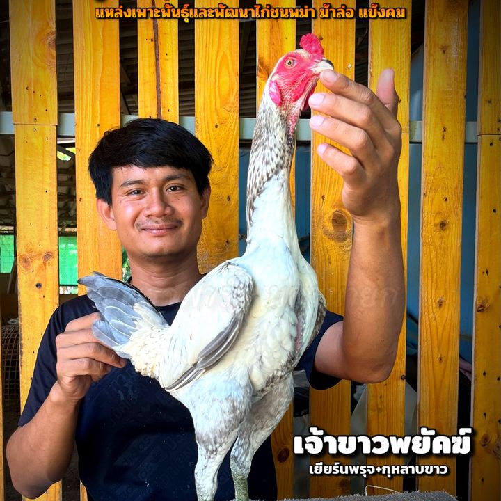 รุต นพรุจฟาร์มนครนายก