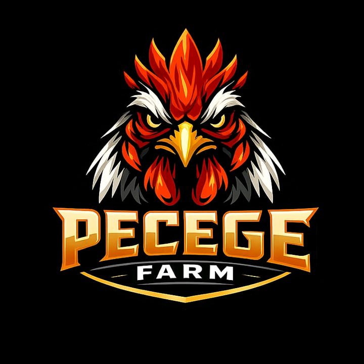 BANG PECEGE ✅