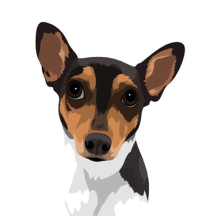 thevipcanine