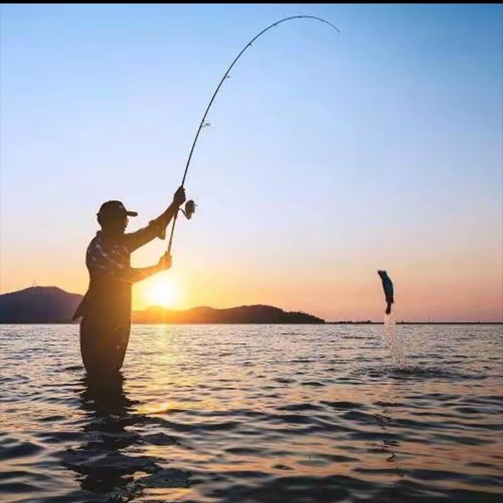 Việt fishing đồ câu