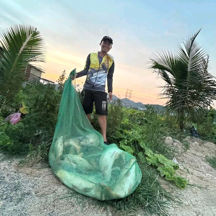 Thính Thuốc Bắc Chiến Cá Chép