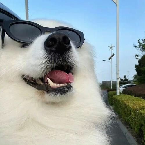 jlwrcn8
