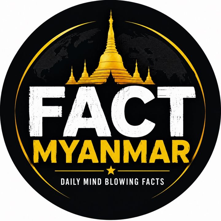 FACT MYANMAR