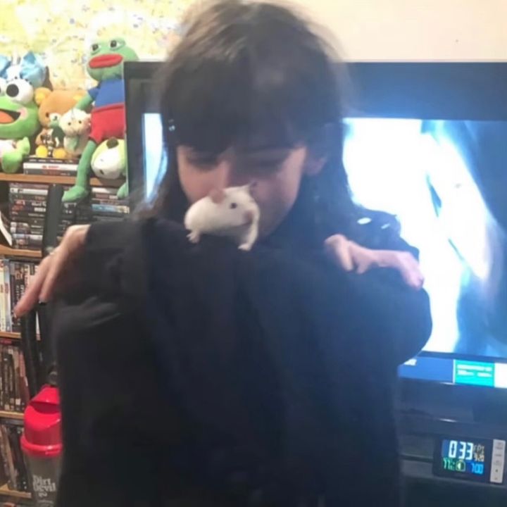 hk7evmdau2