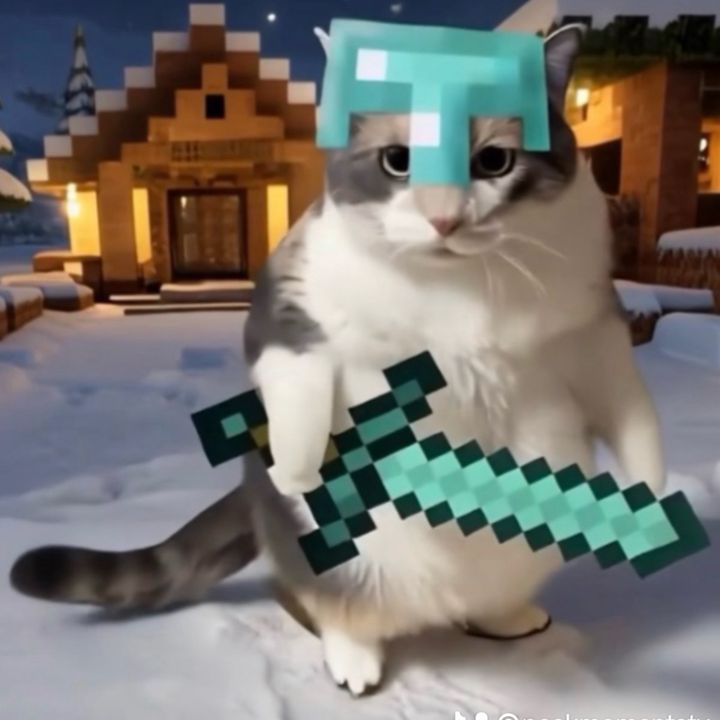 meowai