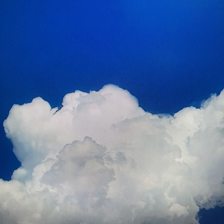 xx