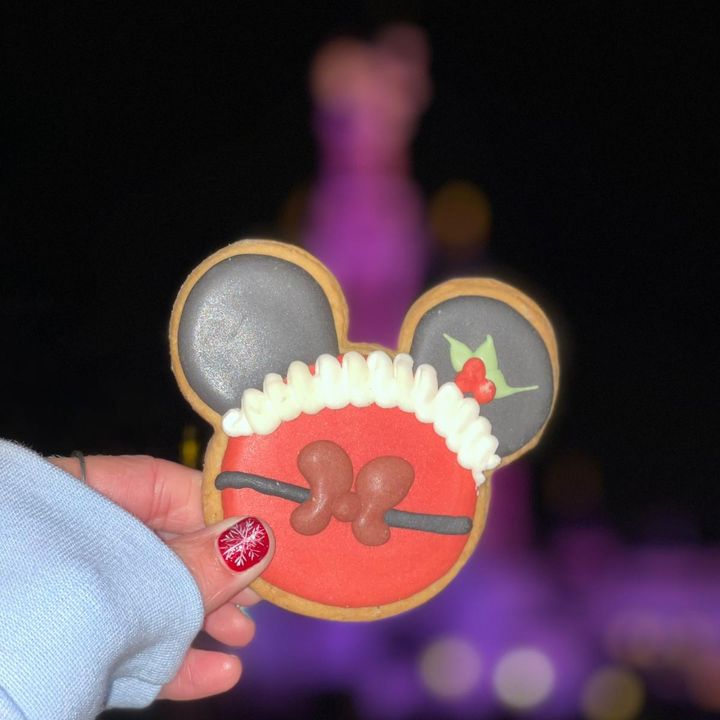 DisneyClairyWishes
