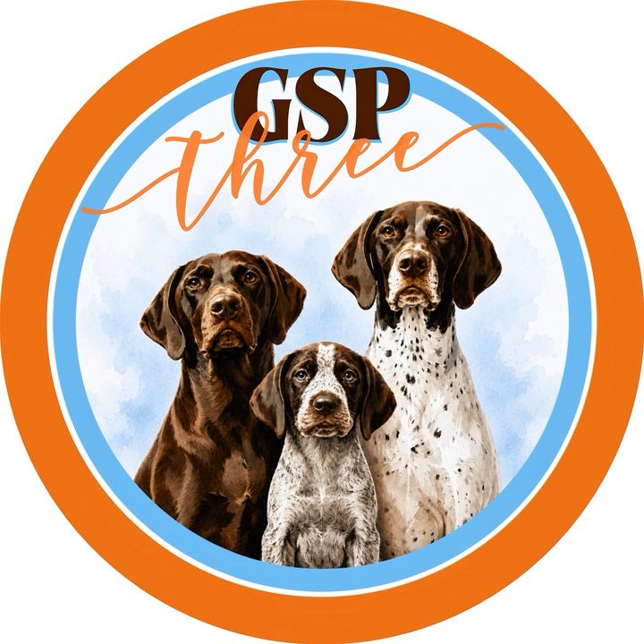 GSPthree
