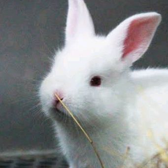 Có là gì của nhau đầu