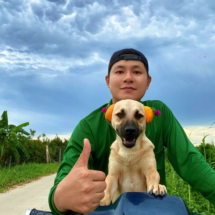 Chó Cỏ Miền Tây