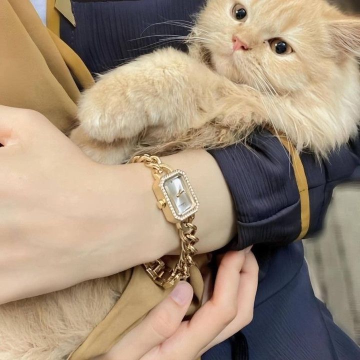 Caatcoins_