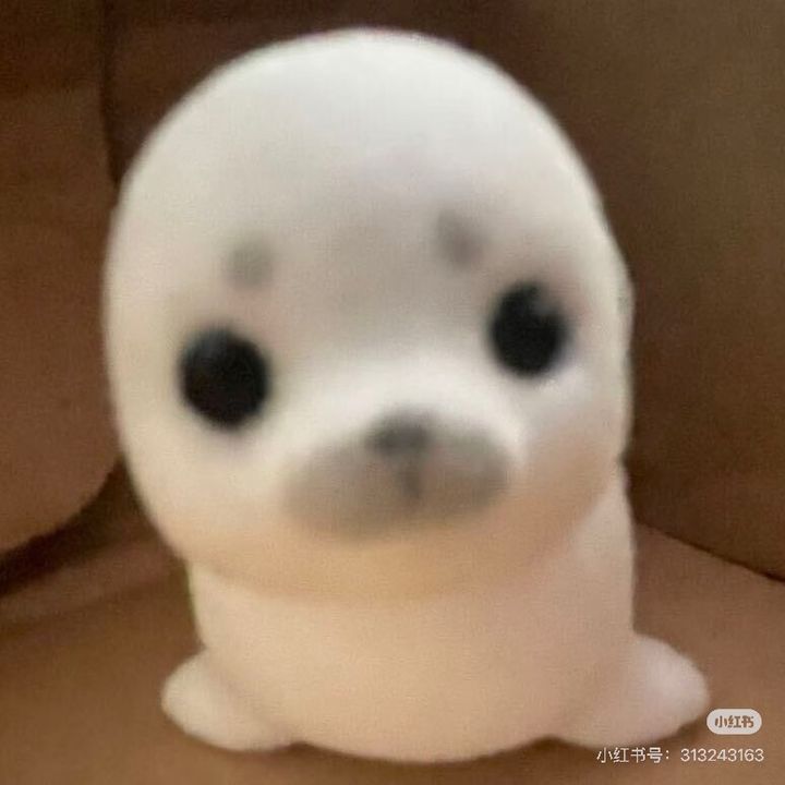 Sea lion