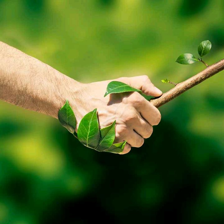 NaturaVivaSi