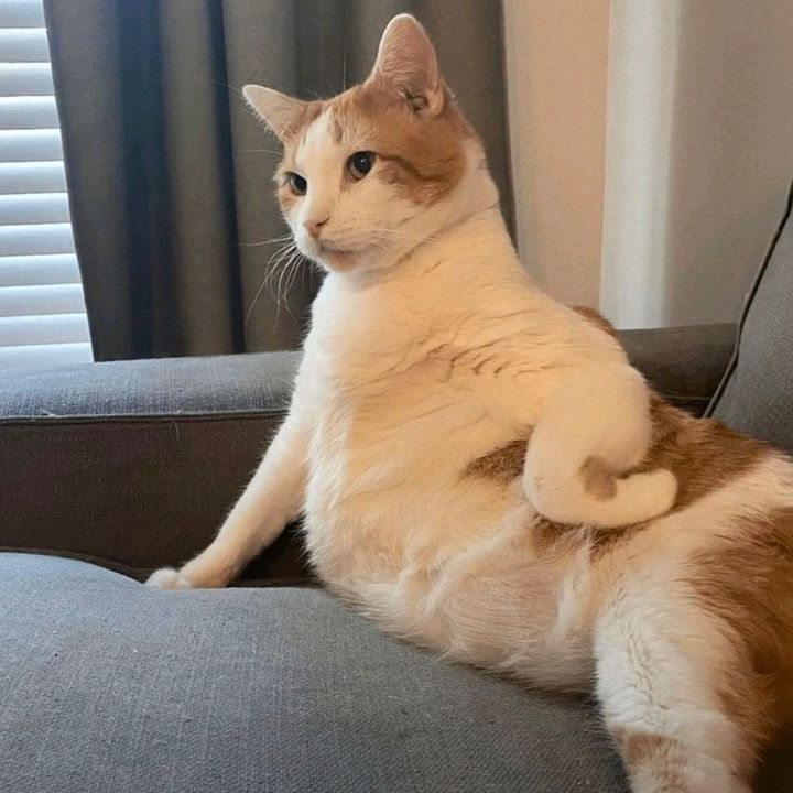 🍑