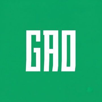 GAO FIDGET TOY