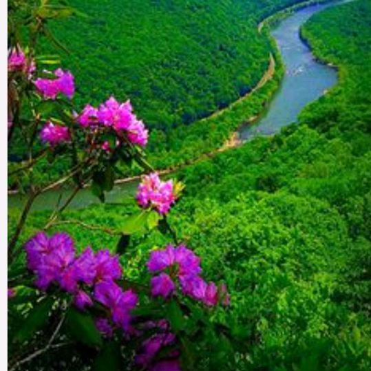 _FlorLSB_
