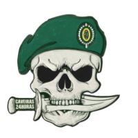 Caveiras.policia