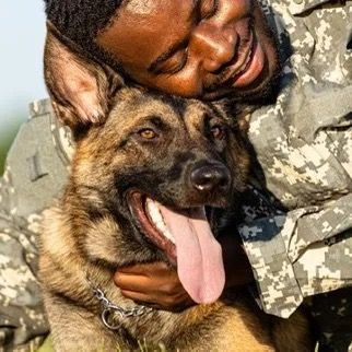 K9-Rex