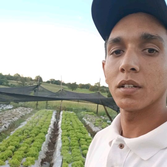 dia a dia na roça🤠
