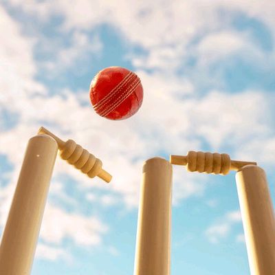 Cricket Edits