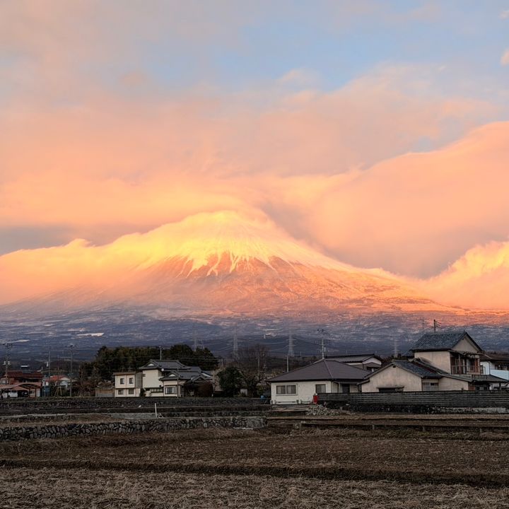 FUJI RICE