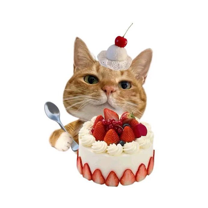 Meoshop