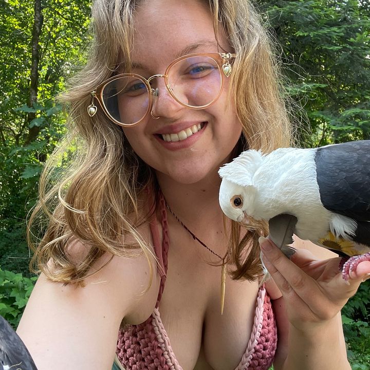 Ava’s Palomas 🕊️