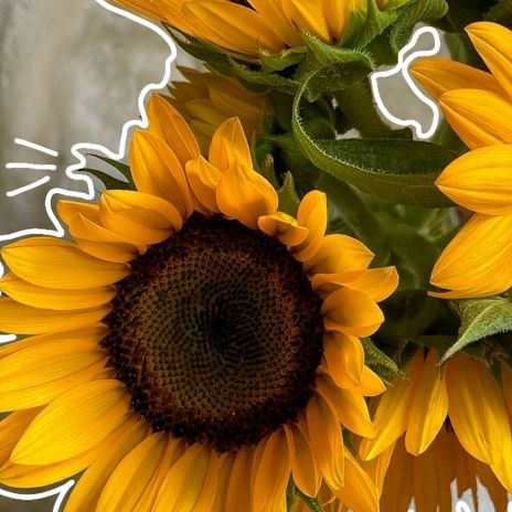 ✨️