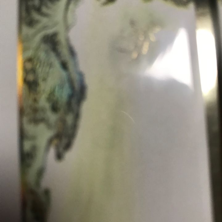 d5ikfpyff6