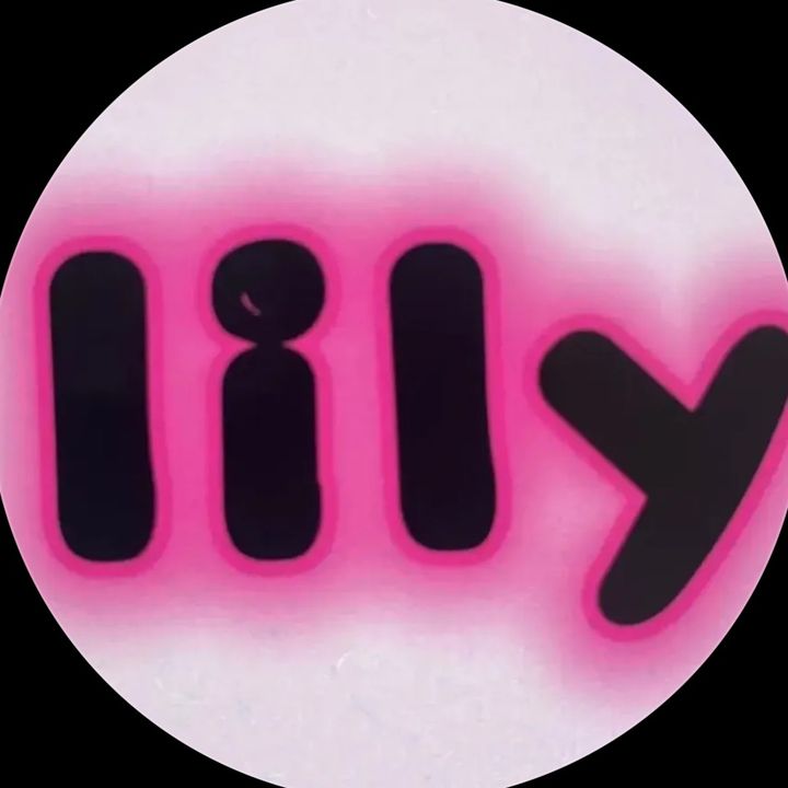Lily DIYshop03