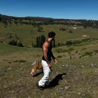 sdtasttk_011