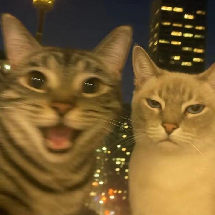9c0e7b2f
