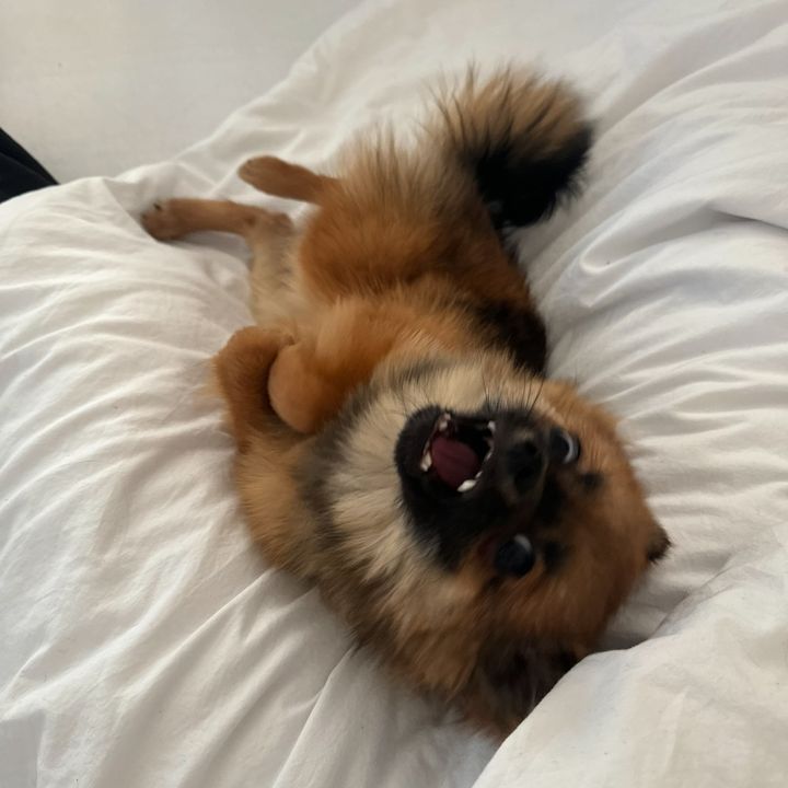 justmilo