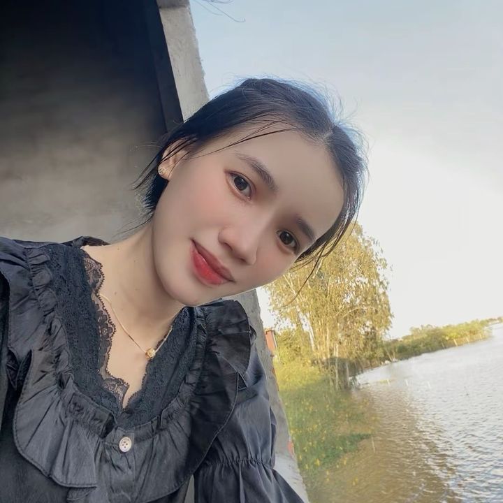 Huyền nội trợ